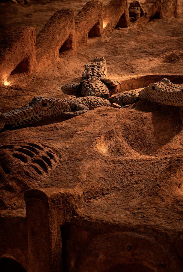 El lagarto