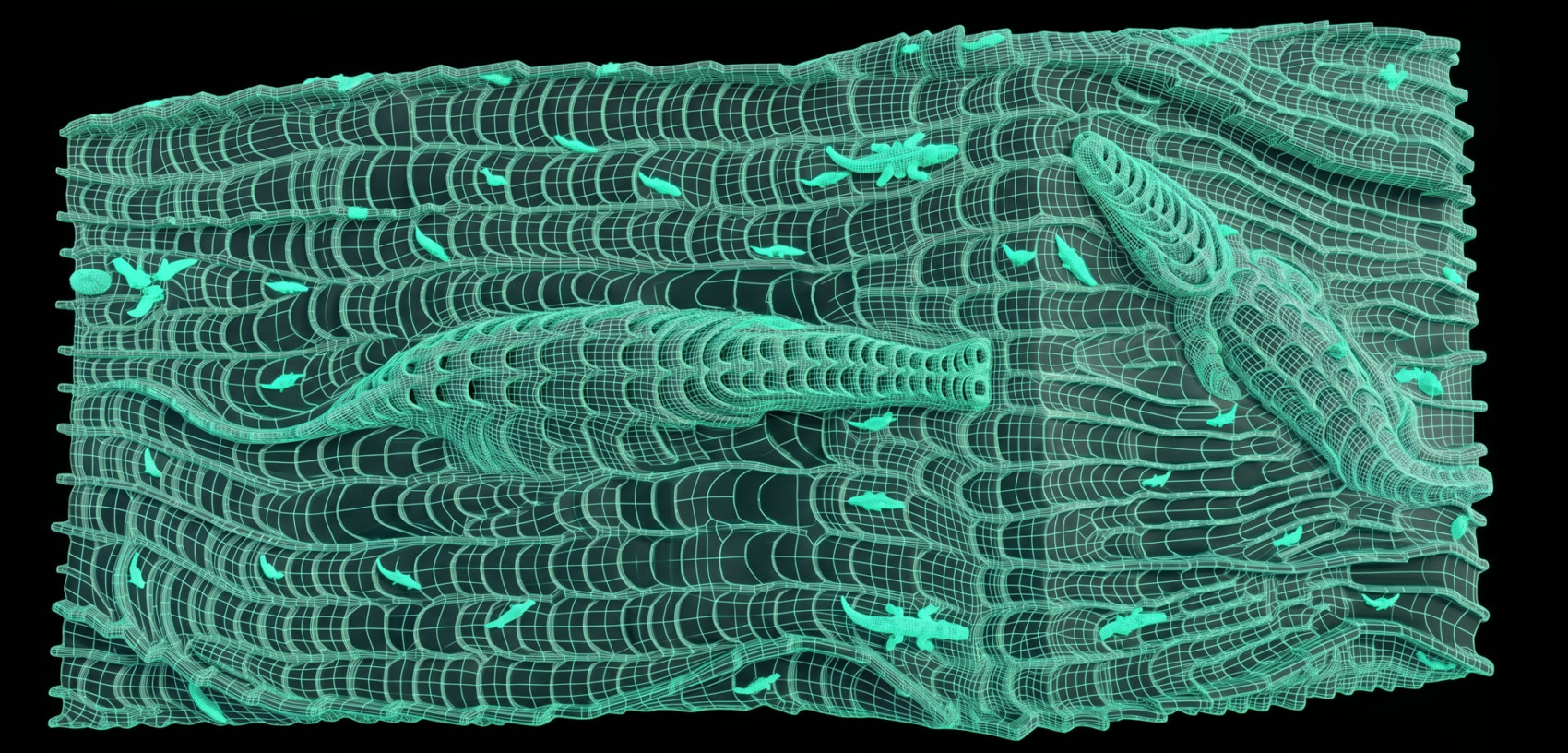 Malla 3D